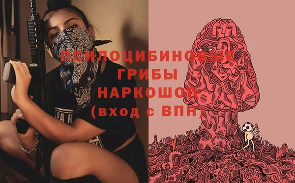 Альфа ПВП Арсеньев