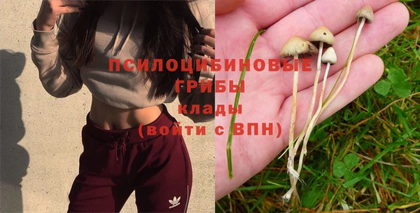 Альфа ПВП Арсеньев
