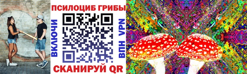 купить наркотики сайты  Рославль  Галлюциногенные грибы Psilocybe 