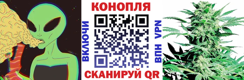 Конопля THC 21%  гидра ссылка  Рославль  где купить наркотик 